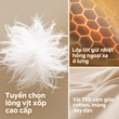 Áo phao lông vũ nữ dáng ngắn nhiều màu mùa đông, phong cách thể thao casual giữ ấm